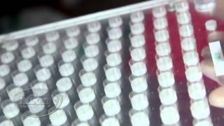 How to use a Nukraft manual capsule filling machine (NK-100): Instructional Video