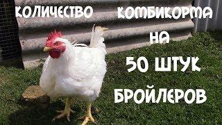 Сколько надо комбикорма на 50 бройлеров