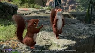 Baldur's Gate 3 squirrel dance