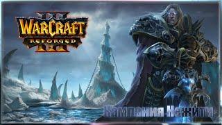 Warcraft III: Reforged Кампания Нежити