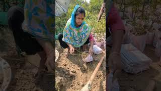 village lady work #work #foryou #village #villagelife #garden