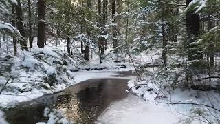 Free Winter Stream Footage II Videos Without COPYRIGHT