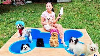 Puppy Soccer & Spa Day! Dog Bathing and Grooming! | Little Big Toys