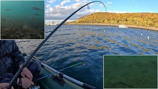 Вышли на морской залив половить осенней рыбки / We went out to catch some autumn fish