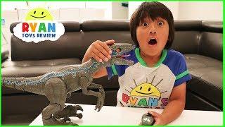 Pet Dinosaur Jurassic World Alpha Training Blue visits Ryan!!!!