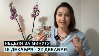 16 ДЕКАБРЯ – 22 ДЕКАБРЯ • НЕДЕЛЯ за МИНУТУ • Таро Прогноз на Неделю • Diva V.S