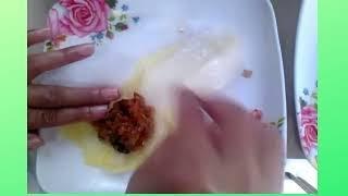 PORK CABBAGE ROLLS lll Elvira's TV Cooking Vlog #18