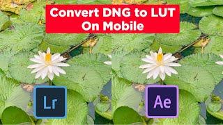 Convert DNG to LUT In 2021