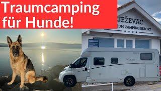 Wohnmobil Reisen: Jezevac Premium Camping - das ultimative Campingparadies für Hunde!