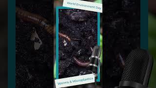 Microplastics in Soil: What’s Happening Inside Worm Guts? 🪱