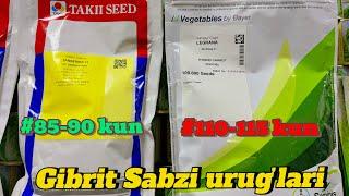 Takii Seed TANGERINA F1 va Semines LEGRANA F1 gibrit sabzi uruglari raspublika boylab dostafka bor