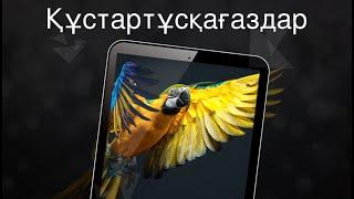 Құстар 4K тұсқағаздар