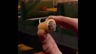 mouse trapped in pasta (meme)