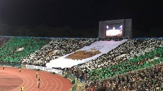 PFC Ludogorets Razgrad  vs FC Fastav Zlín 2-1 04.02.2017 Friendly Match