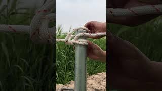 Just Genius Knot!