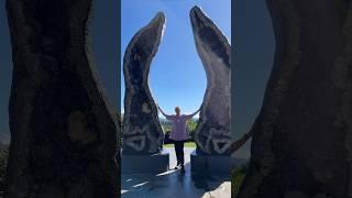 The Guardians at Crystal Castle & Shambhala Gardens, Byron Bay #shorts #byronbay #amethyst #crystals