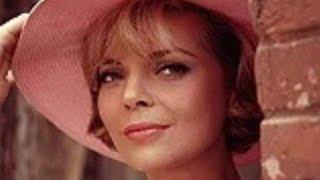 13 Sexy Photos of Barbara Bain