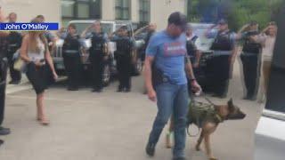 U.S. Marshal Service K9 wounded in shooting released from hospital