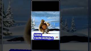  Спустя 20 лет саблезубая белка съела этот желудь! #shorts