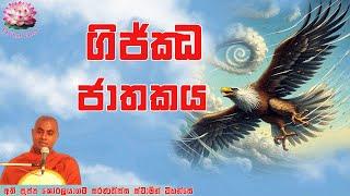 ගිජ්ජ ජාතකය | Gijja Jathakaya | Ven Koralayagama Saranathissa Thero