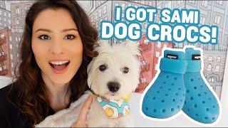 3 Reasons Why I Got Shoes For My Dog | Sami tries on Wag Wellies FOR THE FIRST TIME!