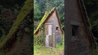 We already need to update this, we’ve made so many more fun structures! #cabin #diy #carpentry