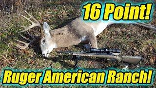 Deer Hunting with the Ruger American Ranch 7.62x39!