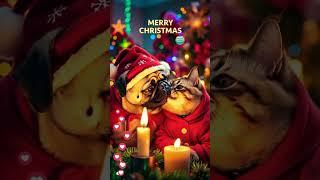 Pug and Cat  / Jingle Bells Christmas Song  #shorts #short #happychristmas #cuteanimals