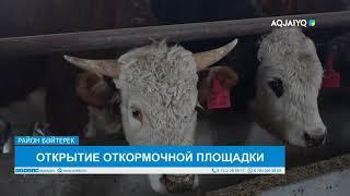 ОТКРЫТИЕ ОТКОРМОЧНОЙ ПЛОЩАДКИ