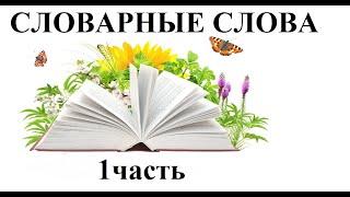 Словарные слова 1 часть