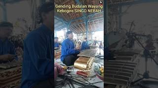 Gending Kebogiro SINGO NEBAH Kagem Budalan Wayang Kulit  #shorts #karawitan #gamelan #gending #fyp