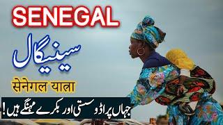 Travel To Senegal | History Documentary in Urdu And Hindi | Spider Tv | سینیگال کی سیر
