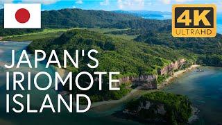 Japan's Forgotten Paradise: The Natural Wonders of Iriomote | 4K UHD Documentary