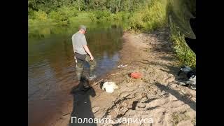 Рыбалка на реке Ижма.Лето,хариус,язь.Отличная погода!