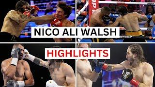 Nico Ali Walsh (8-0) Knockouts & Highlights