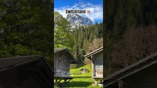 Most beautiful country in the world #switzerland #travel #youtubeshorts #nature #alp #mountains