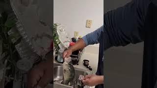 What Do A 2.9lb vs 1lb Crappie Looks Like 