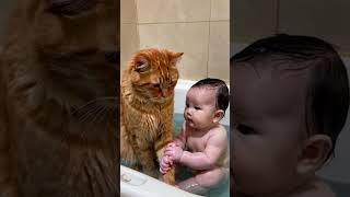 Baby needs a cat to accompany him when taking a bath