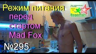 Режим питания перед стартом Mad Fox (№295)