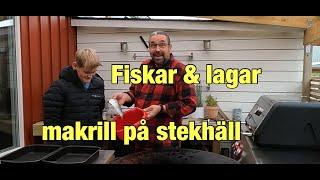 Makrill på stekhällen