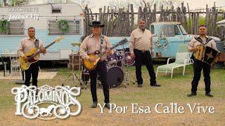 Los Palominos - Y Por Esa Calle Vive (Video Oficial)