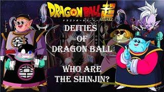 RACE OF THE KAI, WHO ARE THE SHINJIN | EXPLAINING DRAGON BALL'S DEITIES AND GODS PART 3