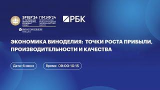 Экономика виноделия: точки роста, прибыли, производительности и качества