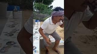 प्यार मे पागल#fateh singh ki comedy #short #rajasthani #comedy #marwadi comedy 
