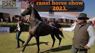 ransi horse show 2023. जिसा स्टड फार्म से आया अपनी प्रस्तुति देने के लिए बेस्ट  घोड़ा प्रसन्न