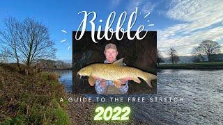 Ultimate Ribble Fishing Guide - Part 1. Free Stretch