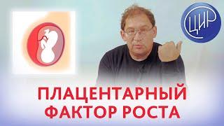 Первый скрининг и анализ на плацентарный фактор роста. Отвечает Гузов И.И.