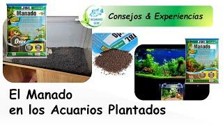 MANADO IN PLANTED TANKS: HOW TO USE IT AND RECOMMENDATIONS TO USE THIS SUBSTRATE