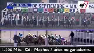 "Huff".  Jinete: Manuel Martínez.1.200 Mts. Cd. Machos 3 años no ganadores.27-07-17.Hipódromo Chile.