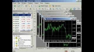 Forex для начинающих   Metatrader 4  Торговый терминал  Урок №1